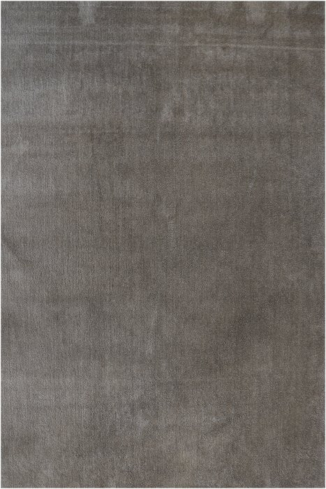 Kusový koberec Labrador 71351-080 taupe - 120 x 170 cm č.1